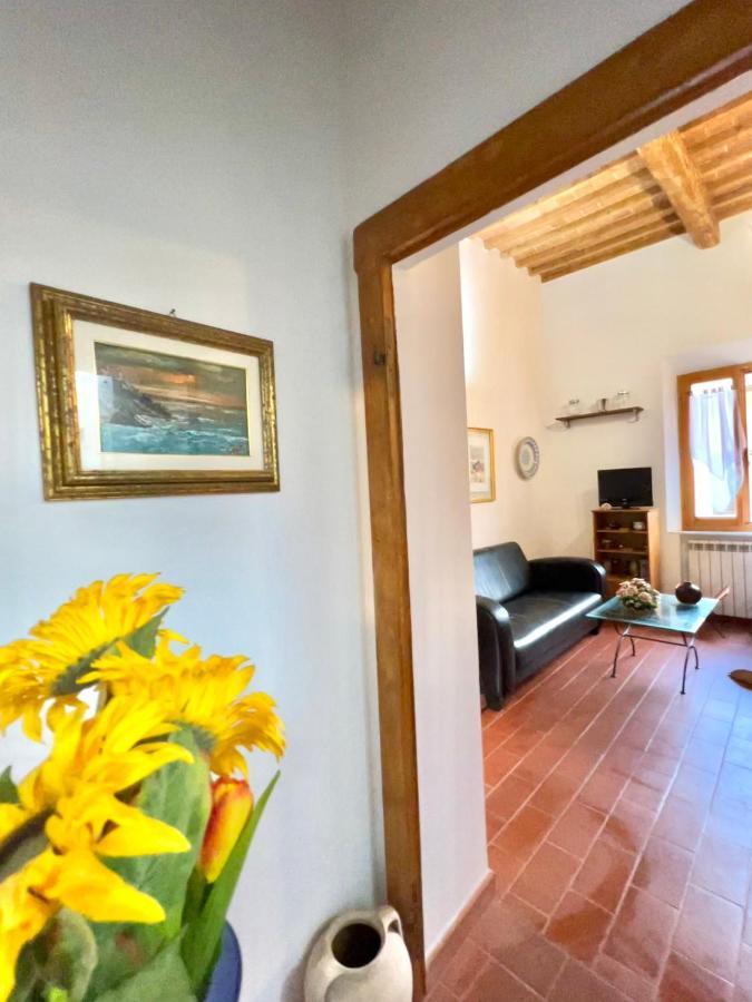 Maison La Luna Apartment Pisa Bagian luar foto